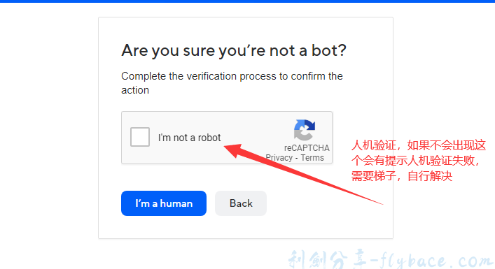 image-20230430221506820